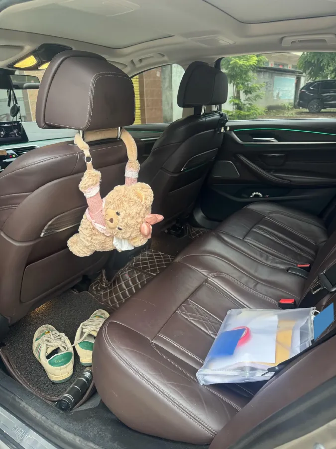 2020 BMW 5 Series 2.0T 184HP L4 8AT PHEV 17.7KWH,autocango,china used car exporter,china ev exporter,chinese used car exporter,chinese used ev exporter