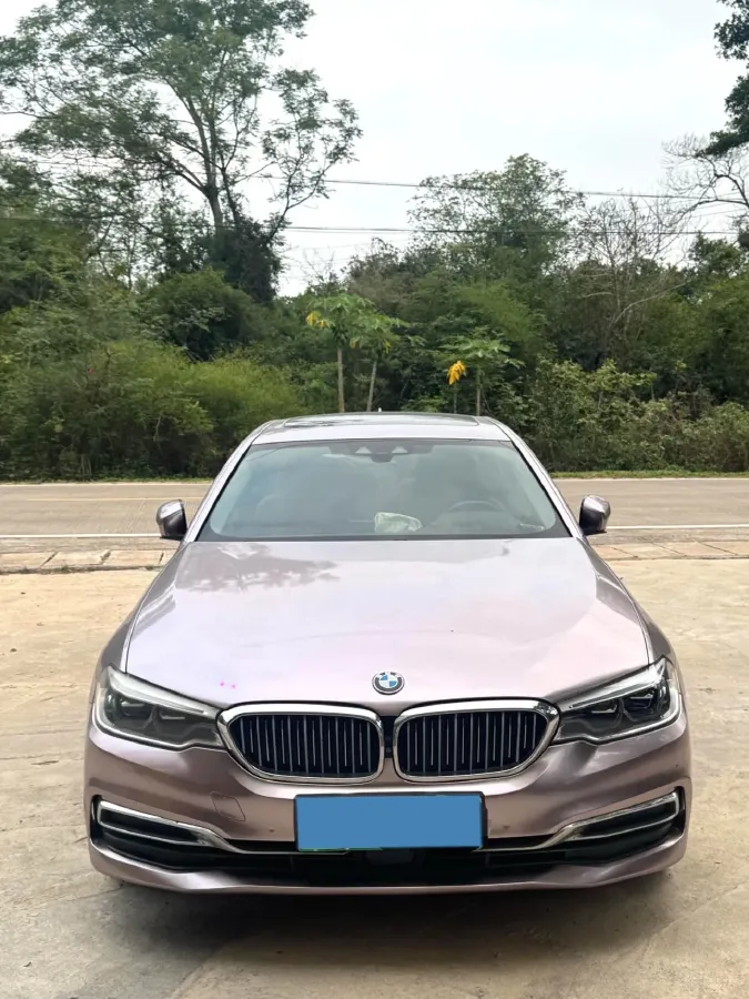 2020 BMW 5 Series 2.0T 184HP L4 8AT PHEV 17.7KWH,autocango,china used car exporter,china ev exporter,chinese used car exporter,chinese used ev exporter