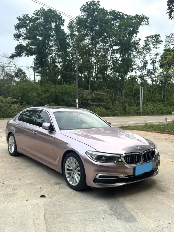 2020 BMW 5 Series 2.0T 184HP L4 8AT PHEV 17.7KWH,autocango,china used car exporter,china ev exporter,chinese used car exporter,chinese used ev exporter