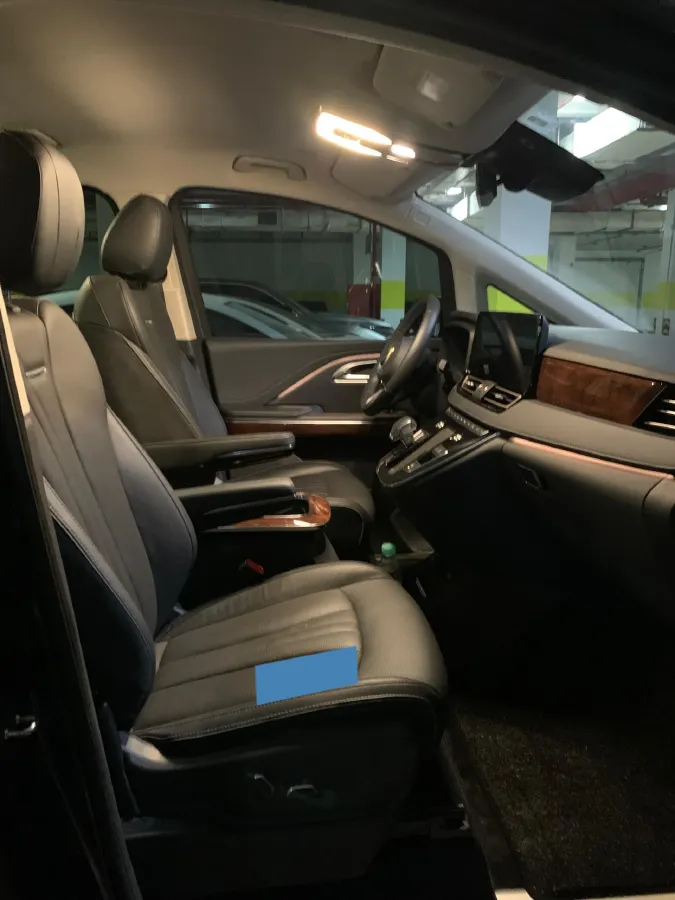 2023 HongQi HQ9 2.0T 252HP L4 8AT,autocango,china used car exporter,china ev exporter,chinese used car exporter,chinese used ev exporter