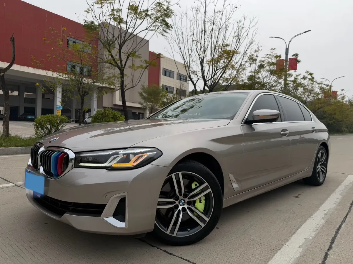2021 BMW 5 Series 2.0T 252HP L4 8AT,autocango,china used car exporter,china ev exporter,chinese used car exporter,chinese used ev exporter