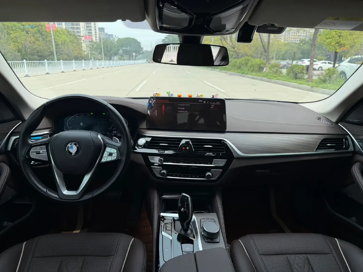 2021 BMW 5 Series 2.0T 252HP L4 8AT,autocango,china used car exporter,china ev exporter,chinese used car exporter,chinese used ev exporter