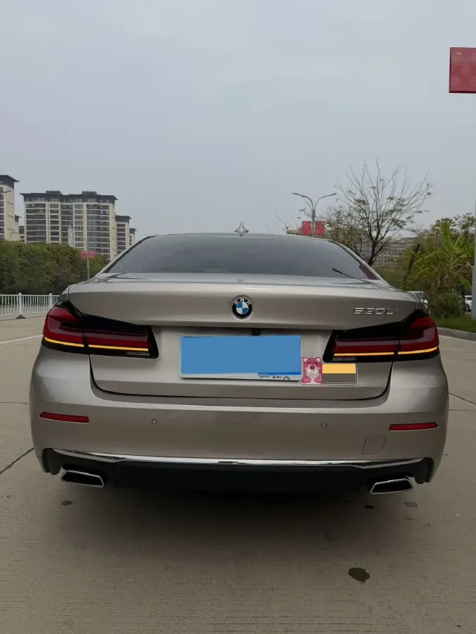 2021 BMW 5 Series 2.0T 252HP L4 8AT,autocango,china used car exporter,china ev exporter,chinese used car exporter,chinese used ev exporter