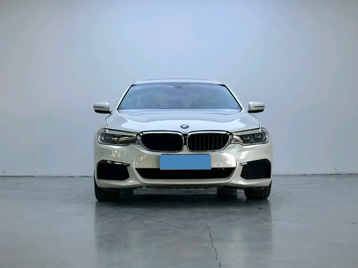 2020 BMW 5 Series 2.0T 252HP L4 8AT,autocango,china used car exporter,china ev exporter,chinese used car exporter,chinese used ev exporter