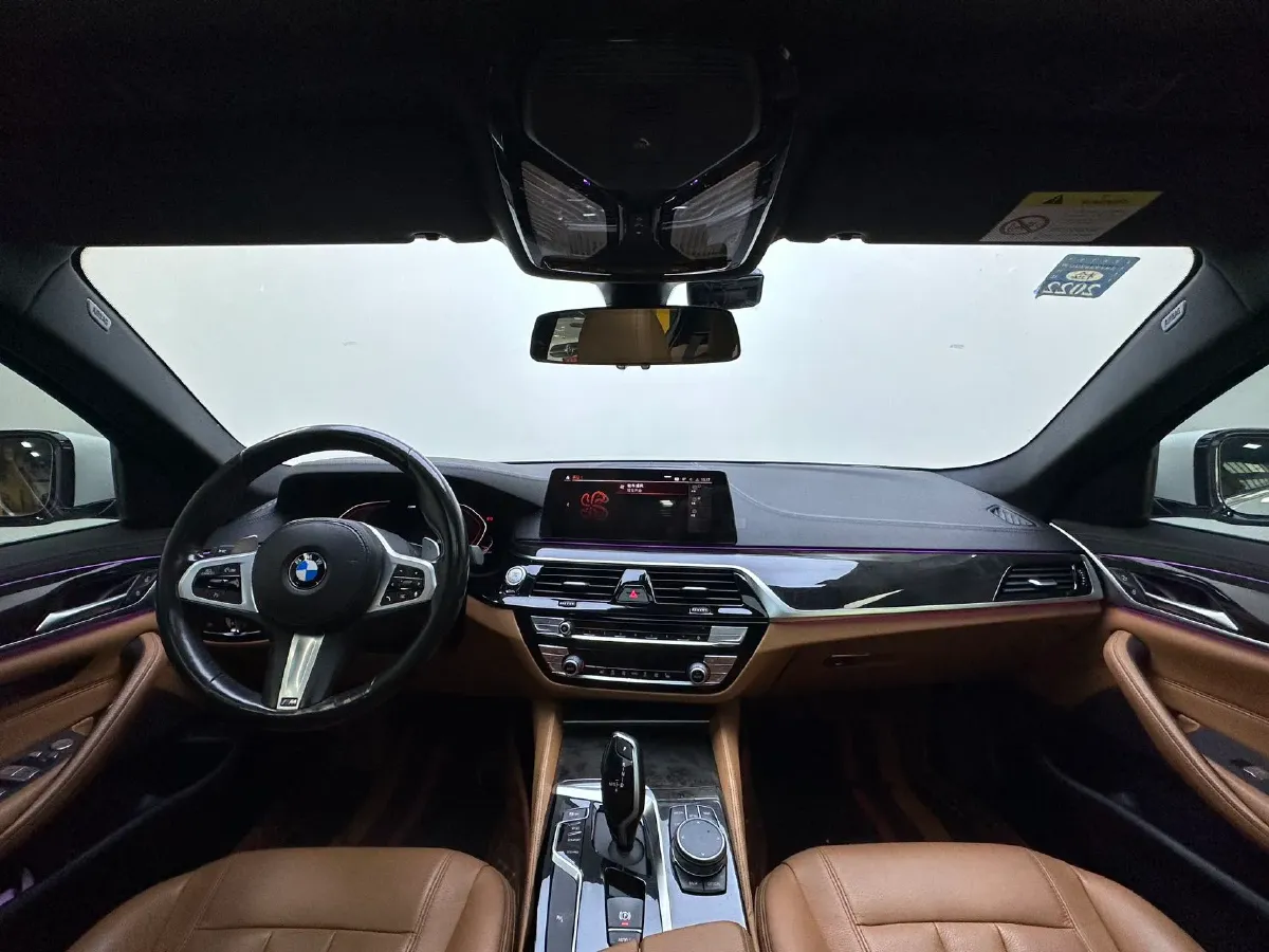 2020 BMW 5 Series 2.0T 252HP L4 8AT,autocango,china used car exporter,china ev exporter,chinese used car exporter,chinese used ev exporter