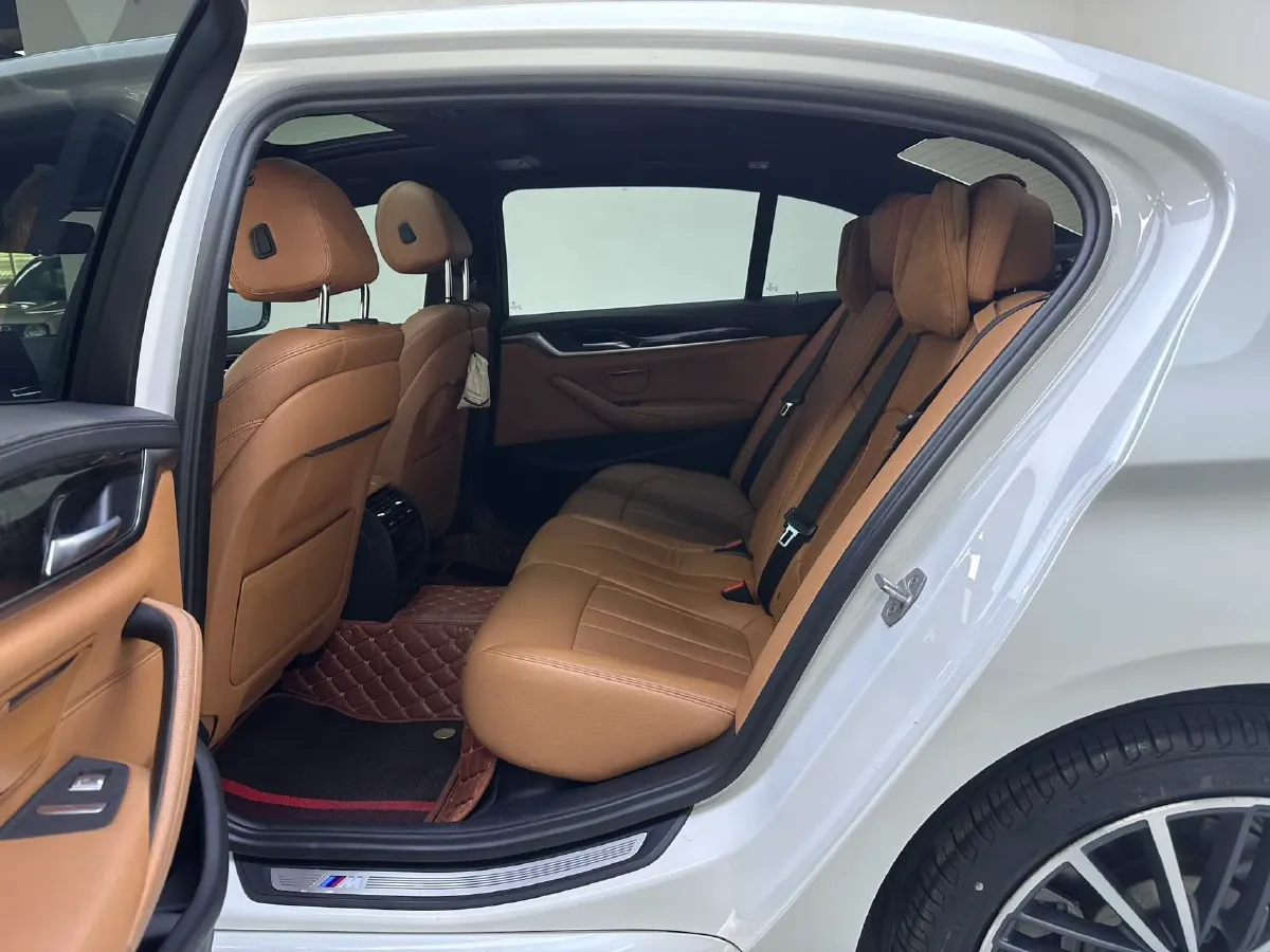 2020 BMW 5 Series 2.0T 252HP L4 8AT,autocango,china used car exporter,china ev exporter,chinese used car exporter,chinese used ev exporter