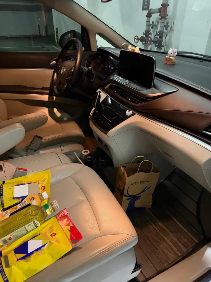 2020 Buick GL8 2.0T 237HP L4 9AT,autocango,china used car exporter,china ev exporter,chinese used car exporter,chinese used ev exporter