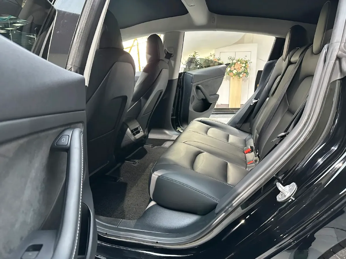 2022 Tesla Model 3 BEV 60KWH,autocango,china used car exporter,china ev exporter,chinese used car exporter,chinese used ev exporter