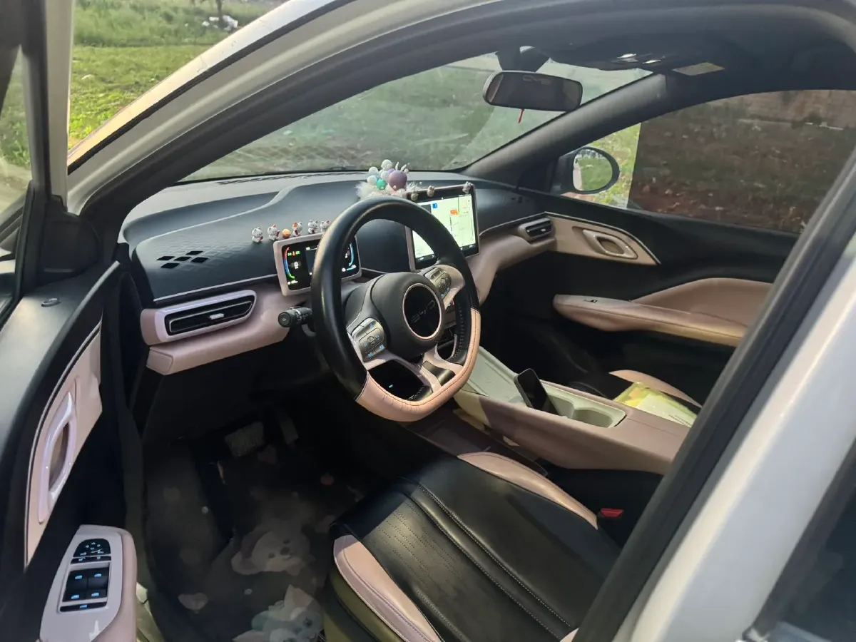 2024 BYD Seagull BEV 30.08KWH,autocango,china used car exporter,china ev exporter,chinese used car exporter,chinese used ev exporter