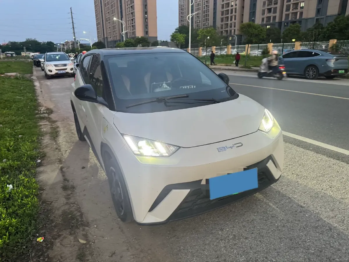 2024 BYD Seagull BEV 30.08KWH,autocango,china used car exporter,china ev exporter,chinese used car exporter,chinese used ev exporter
