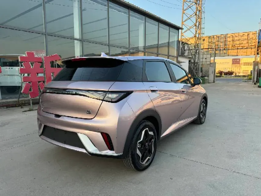 2021 BYD Yuan Pro BEV 50.1KWH,autocango,china used car exporter,china ev exporter,chinese used car exporter,chinese used ev exporter