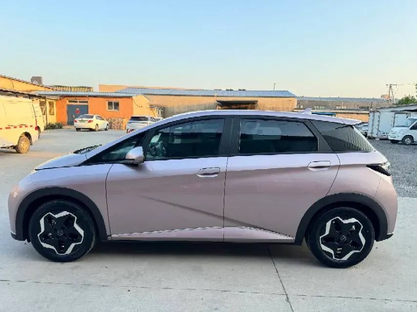 2021 BYD Yuan Pro BEV 50.1KWH,autocango,china used car exporter,china ev exporter,chinese used car exporter,chinese used ev exporter