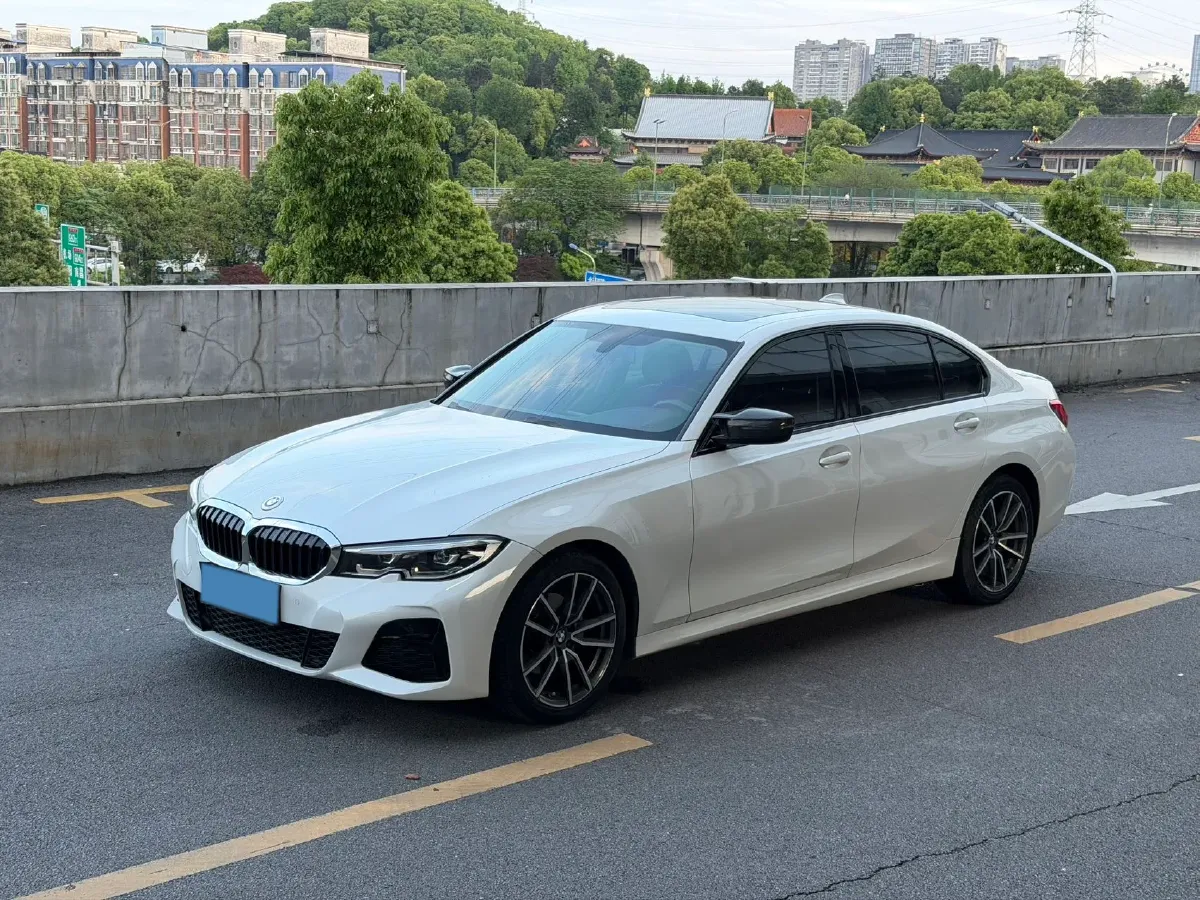 2021 BMW 3 Series 2.0T 156HP L4 8AT,autocango,china used car exporter,china ev exporter,chinese used car exporter,chinese used ev exporter