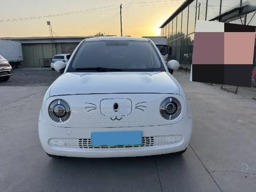 2021 Ora BlackCat BEV 28.5KWH,autocango,china used car exporter,china ev exporter,chinese used car exporter,chinese used ev exporter