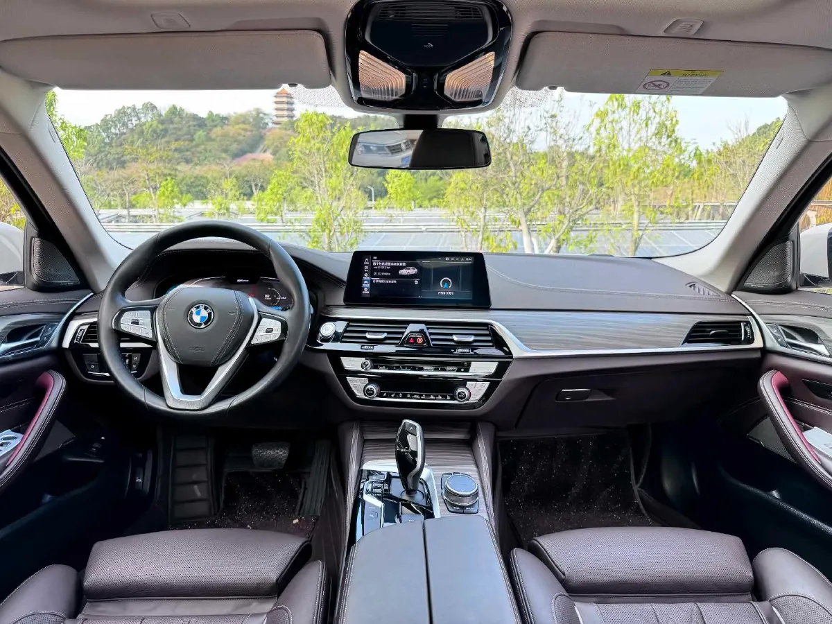 2020 BMW 5 Series 2.0T 184HP L4 8AT PHEV 17.7KWH,autocango,china used car exporter,china ev exporter,chinese used car exporter,chinese used ev exporter