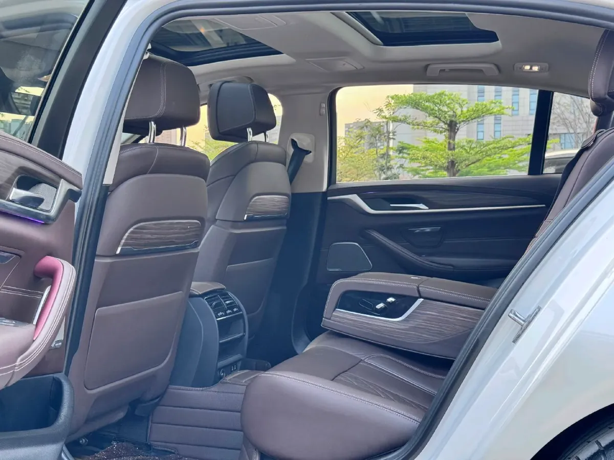 2020 BMW 5 Series 2.0T 184HP L4 8AT PHEV 17.7KWH,autocango,china used car exporter,china ev exporter,chinese used car exporter,chinese used ev exporter