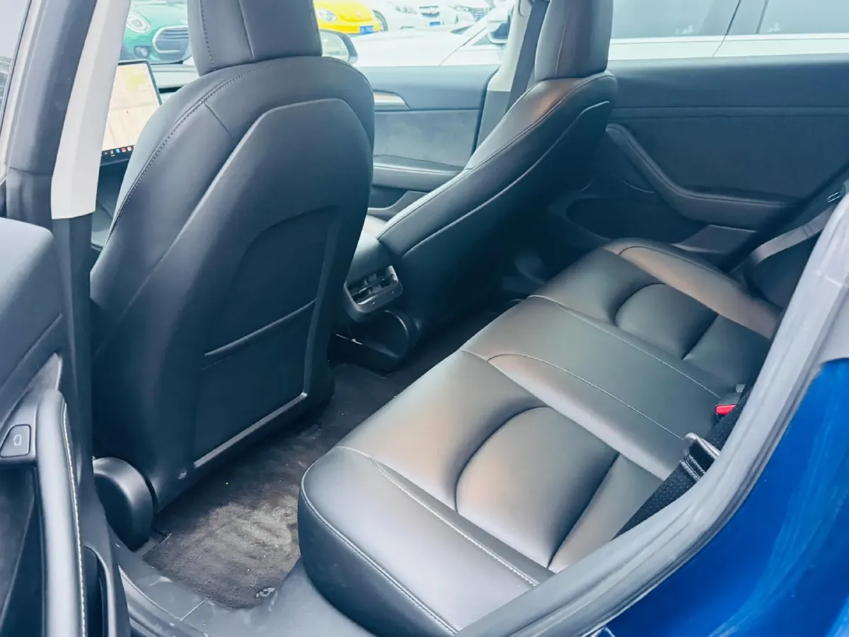 2021 Tesla Model 3 BEV 55KWH,autocango,china used car exporter,china ev exporter,chinese used car exporter,chinese used ev exporter