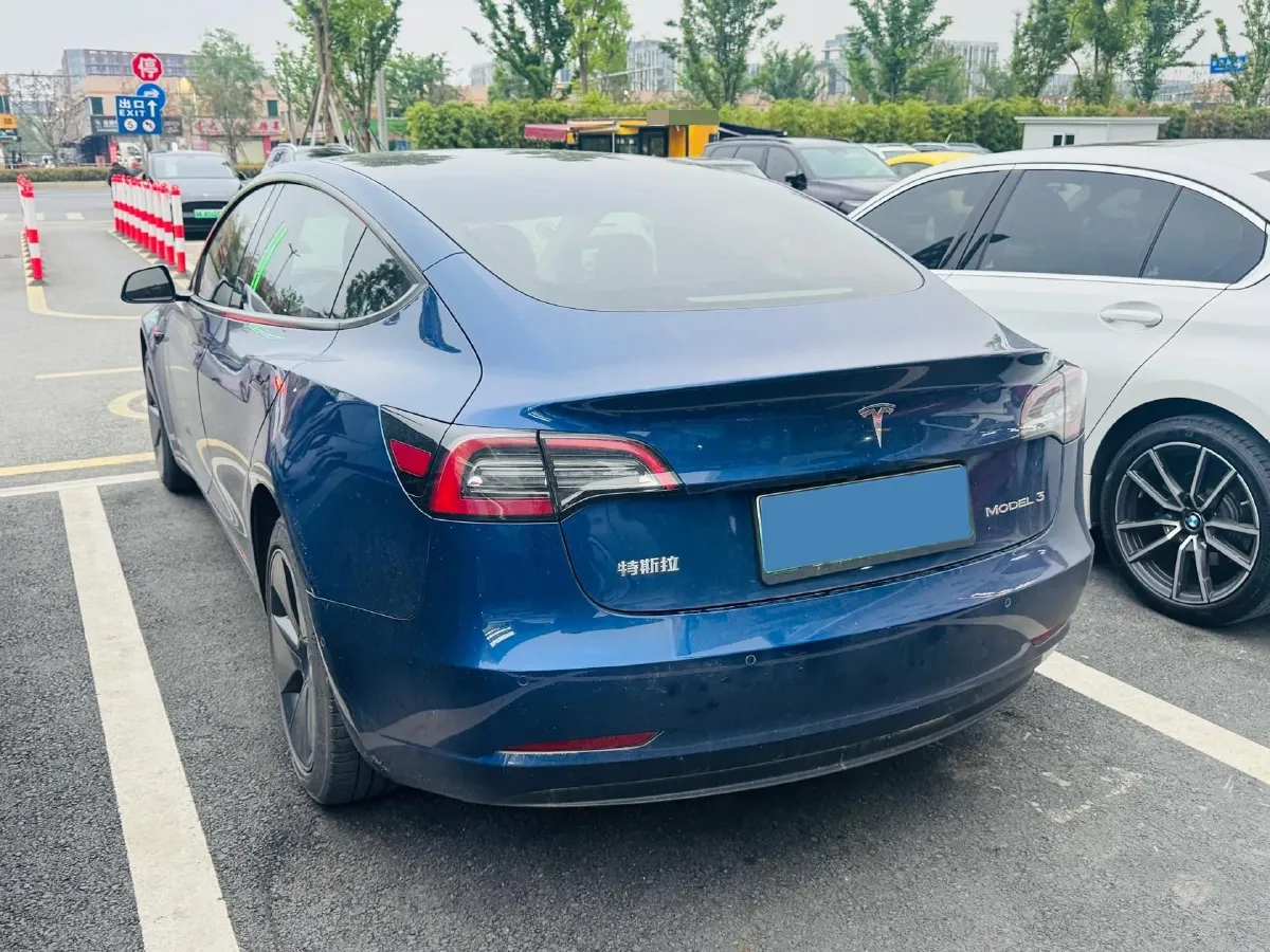 2021 Tesla Model 3 BEV 55KWH,autocango,china used car exporter,china ev exporter,chinese used car exporter,chinese used ev exporter
