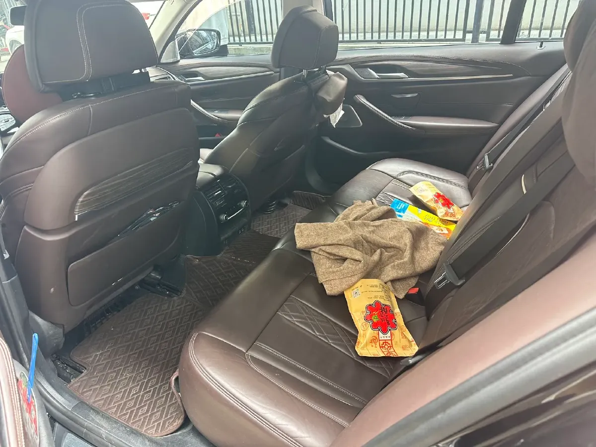 2020 BMW 5 Series 2.0T 252HP L4 8AT,autocango,china used car exporter,china ev exporter,chinese used car exporter,chinese used ev exporter