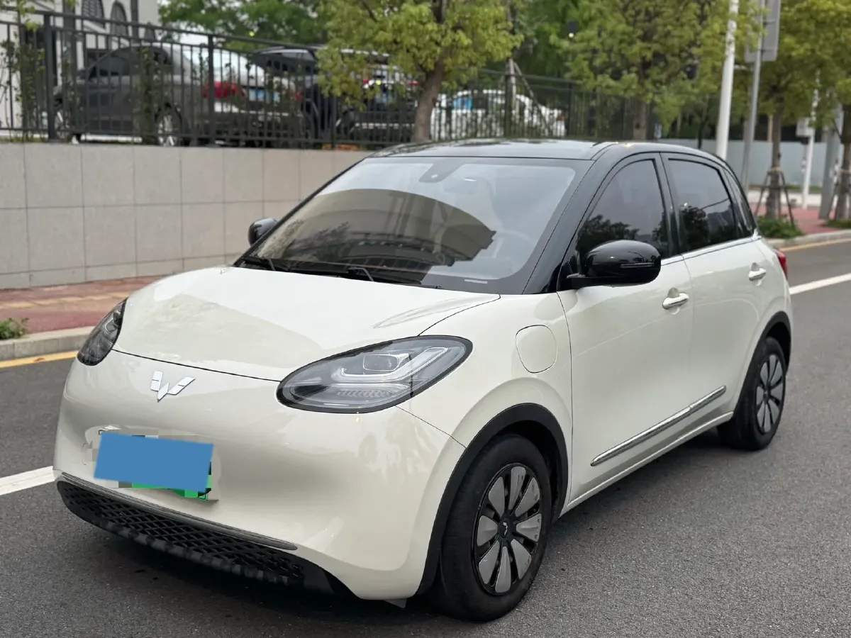 2023 WuLing BinGuo BEV 31.9KWH,autocango,china used car exporter,china ev exporter,chinese used car exporter,chinese used ev exporter