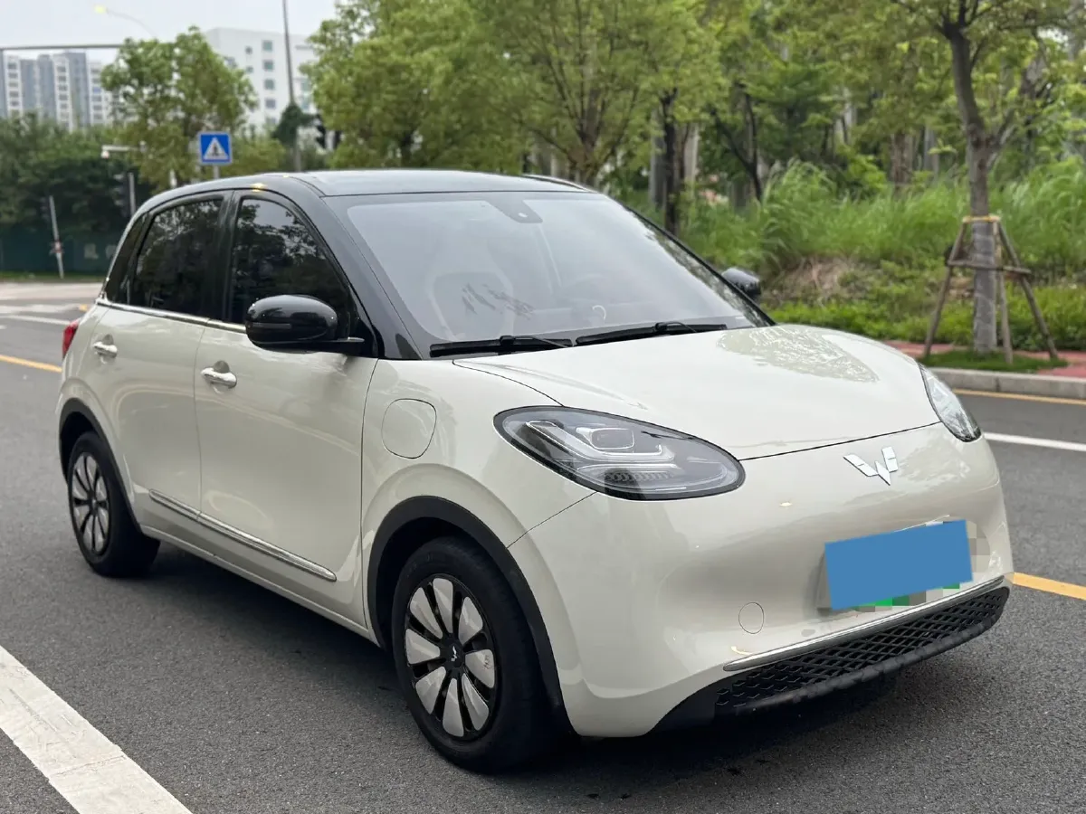 2023 WuLing BinGuo BEV 31.9KWH,autocango,china used car exporter,china ev exporter,chinese used car exporter,chinese used ev exporter