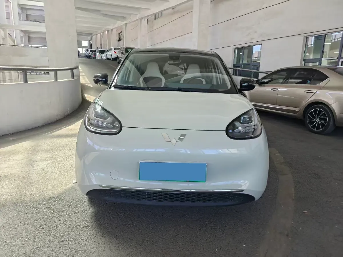 2023 WuLing BinGuo BEV 31.9KWH,autocango,china used car exporter,china ev exporter,chinese used car exporter,chinese used ev exporter