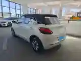 2023 WuLing BinGuo BEV 31.9KWH