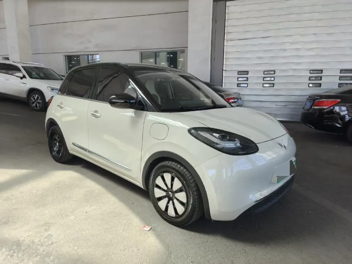 2023 WuLing BinGuo BEV 31.9KWH,autocango,china used car exporter,china ev exporter,chinese used car exporter,chinese used ev exporter