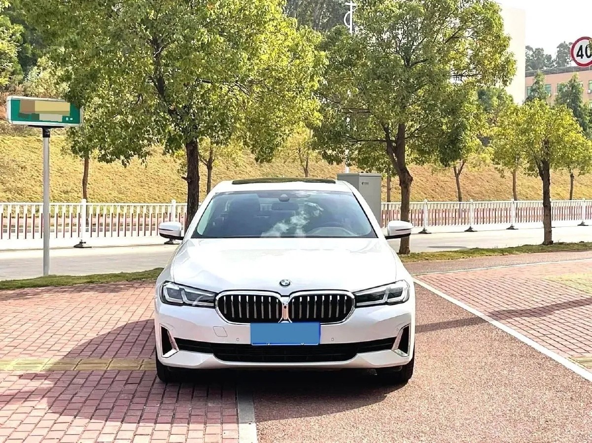 2021 BMW 5 Series 2.0T 184HP L4 8AT,autocango,china used car exporter,china ev exporter,chinese used car exporter,chinese used ev exporter
