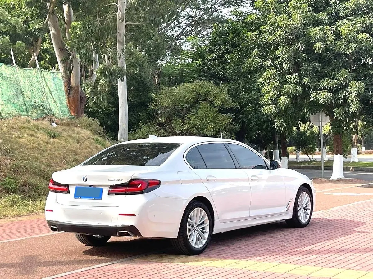 2021 BMW 5 Series 2.0T 184HP L4 8AT,autocango,china used car exporter,china ev exporter,chinese used car exporter,chinese used ev exporter