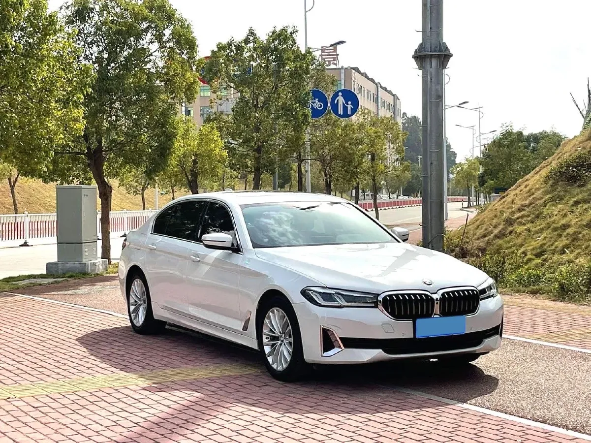2021 BMW 5 Series 2.0T 184HP L4 8AT,autocango,china used car exporter,china ev exporter,chinese used car exporter,chinese used ev exporter