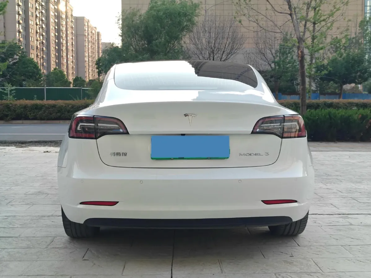 2020 Tesla Model 3 BEV 52KWH,autocango,china used car exporter,china ev exporter,chinese used car exporter,chinese used ev exporter
