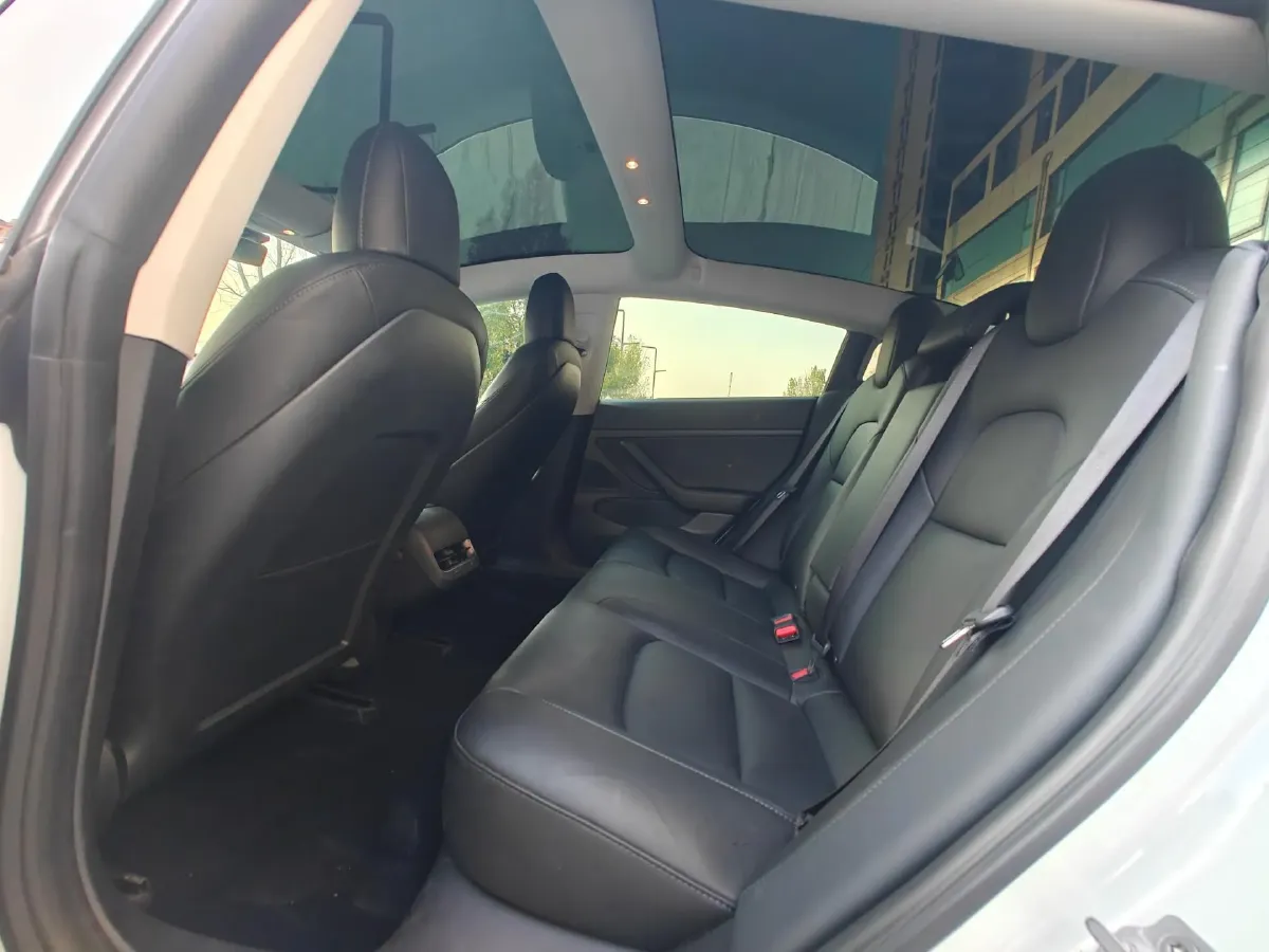 2020 Tesla Model 3 BEV 52KWH,autocango,china used car exporter,china ev exporter,chinese used car exporter,chinese used ev exporter