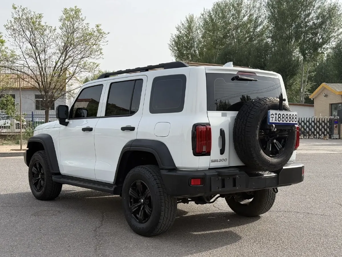 2024 Tank 300 2.0T 227HP L4 8AT,autocango,china used car exporter,china ev exporter,chinese used car exporter,chinese used ev exporter