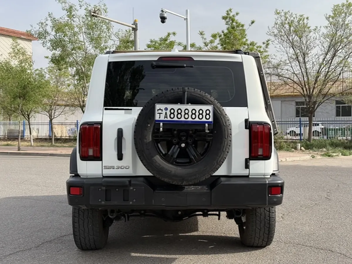 2024 Tank 300 2.0T 227HP L4 8AT,autocango,china used car exporter,china ev exporter,chinese used car exporter,chinese used ev exporter