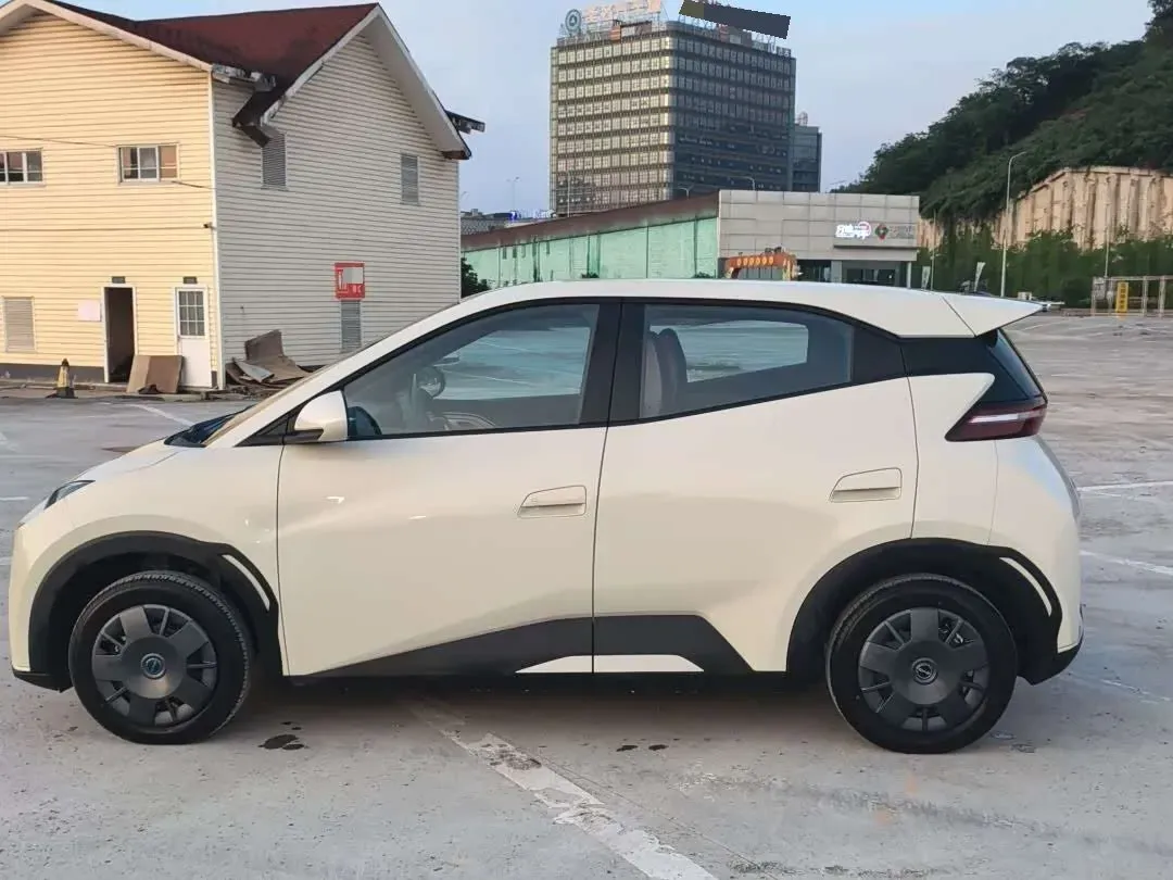 2025 BYD Seagull BEV 30.08KWH,autocango,china used car exporter,china ev exporter,chinese used car exporter,chinese used ev exporter