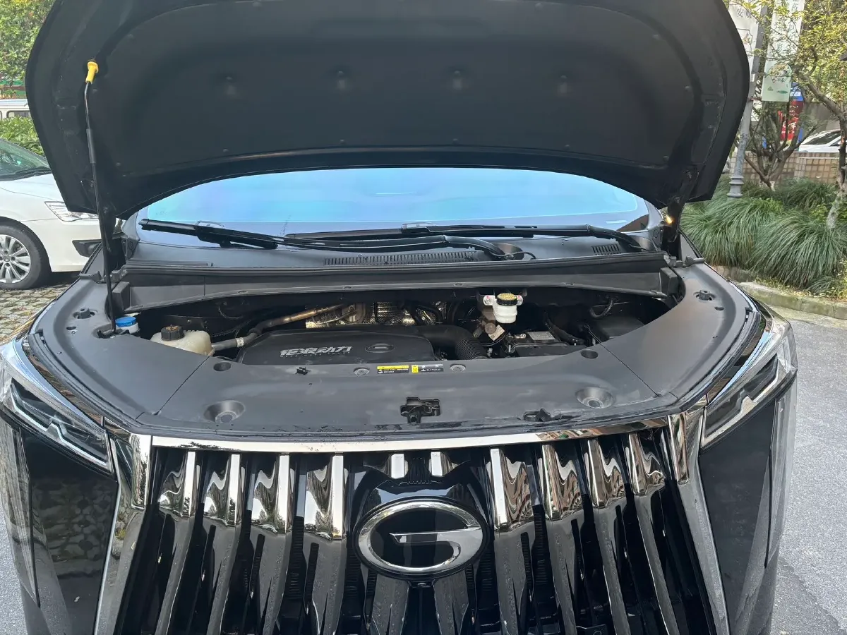 2024 GAC Trumpchi M8 2.0T 252HP L4 8AT,autocango,china used car exporter,china ev exporter,chinese used car exporter,chinese used ev exporter