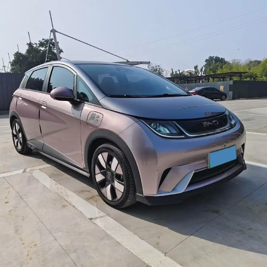 2021 BYD e2 BEV 43.2KWH,autocango,china used car exporter,china ev exporter,chinese used car exporter,chinese used ev exporter