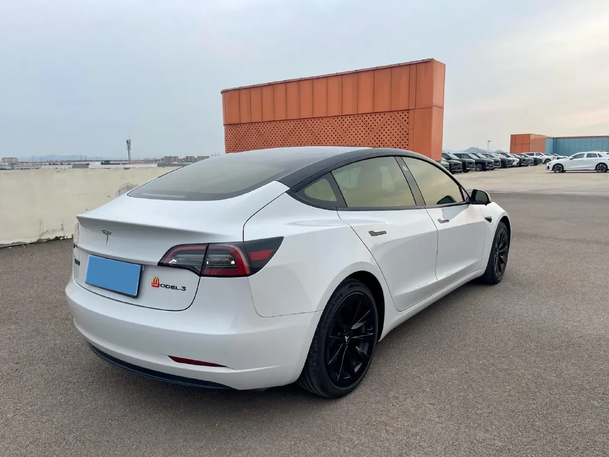 2021 Tesla Model 3 BEV 55KWH,autocango,china used car exporter,china ev exporter,chinese used car exporter,chinese used ev exporter