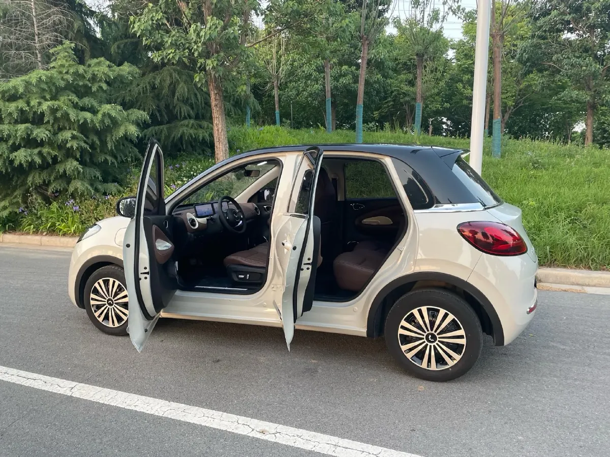 2023 WuLing BinGuo BEV 31.9KWH,autocango,china used car exporter,china ev exporter,chinese used car exporter,chinese used ev exporter