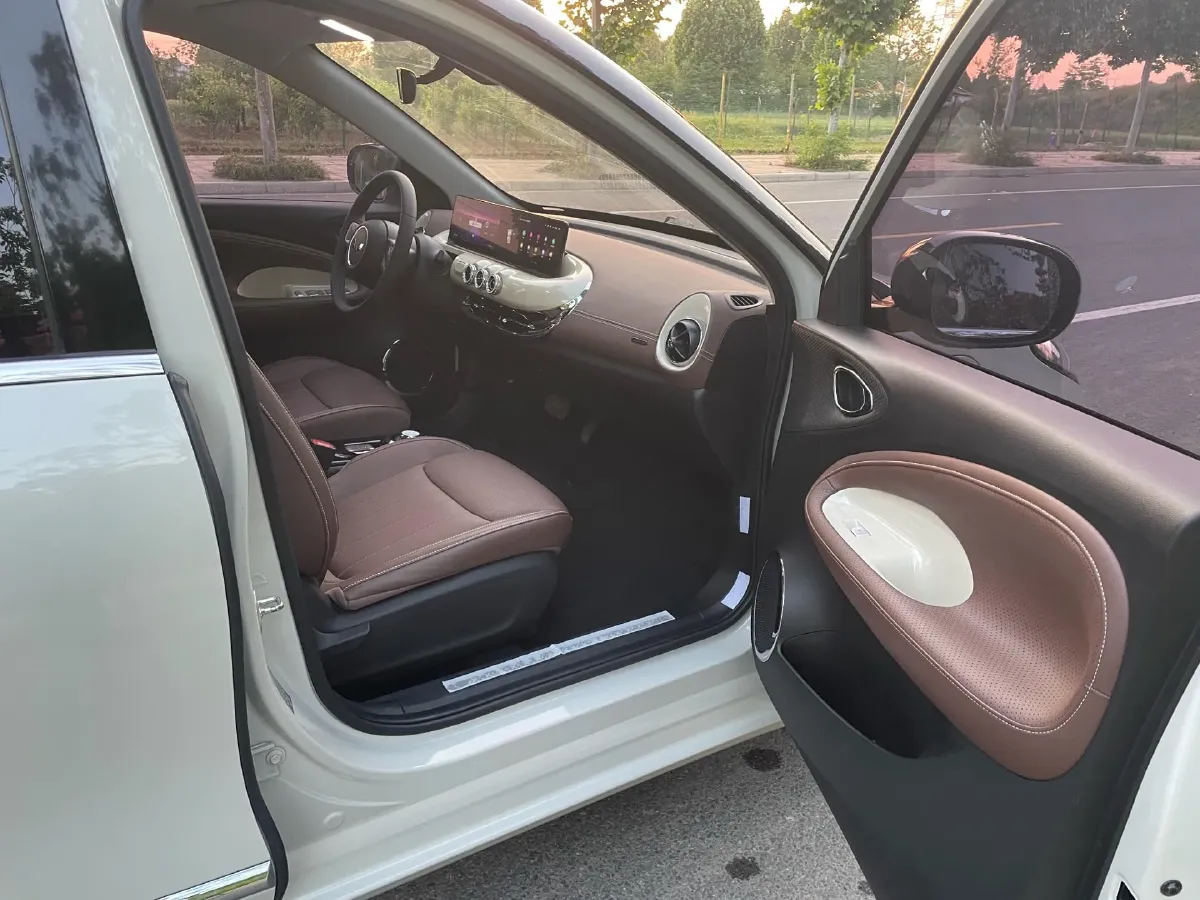 2023 WuLing BinGuo BEV 31.9KWH,autocango,china used car exporter,china ev exporter,chinese used car exporter,chinese used ev exporter