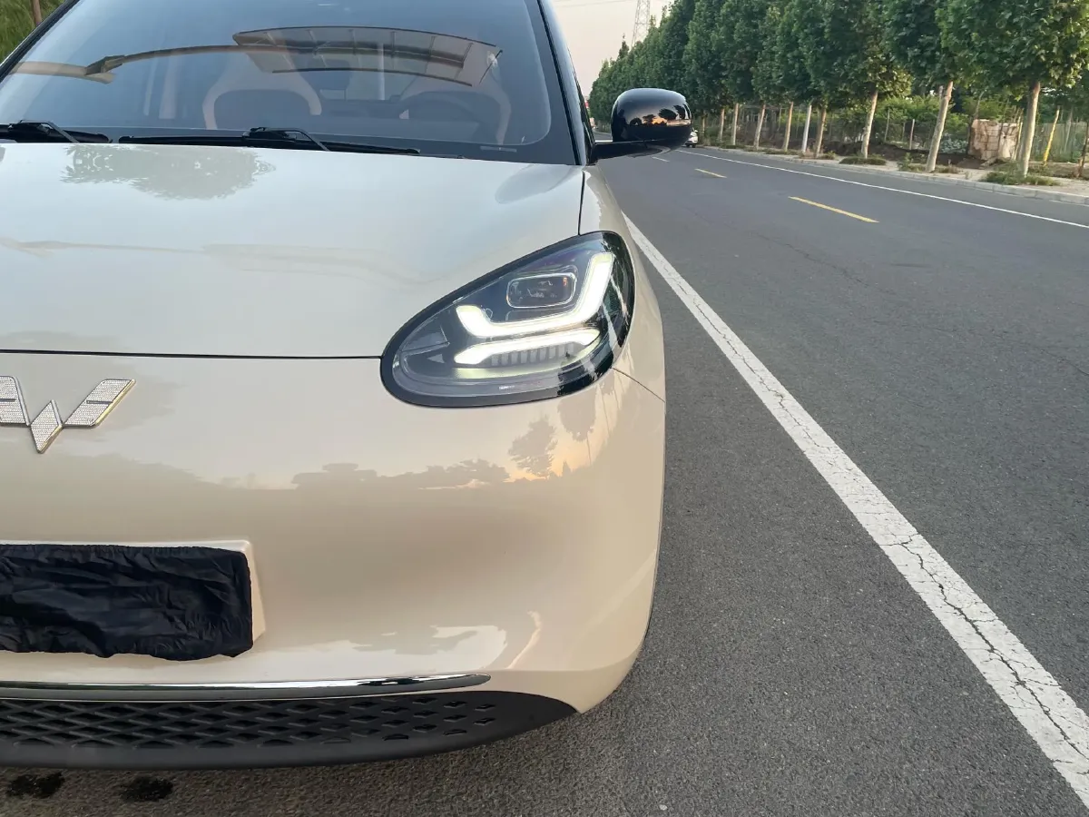 2023 WuLing BinGuo BEV 31.9KWH,autocango,china used car exporter,china ev exporter,chinese used car exporter,chinese used ev exporter