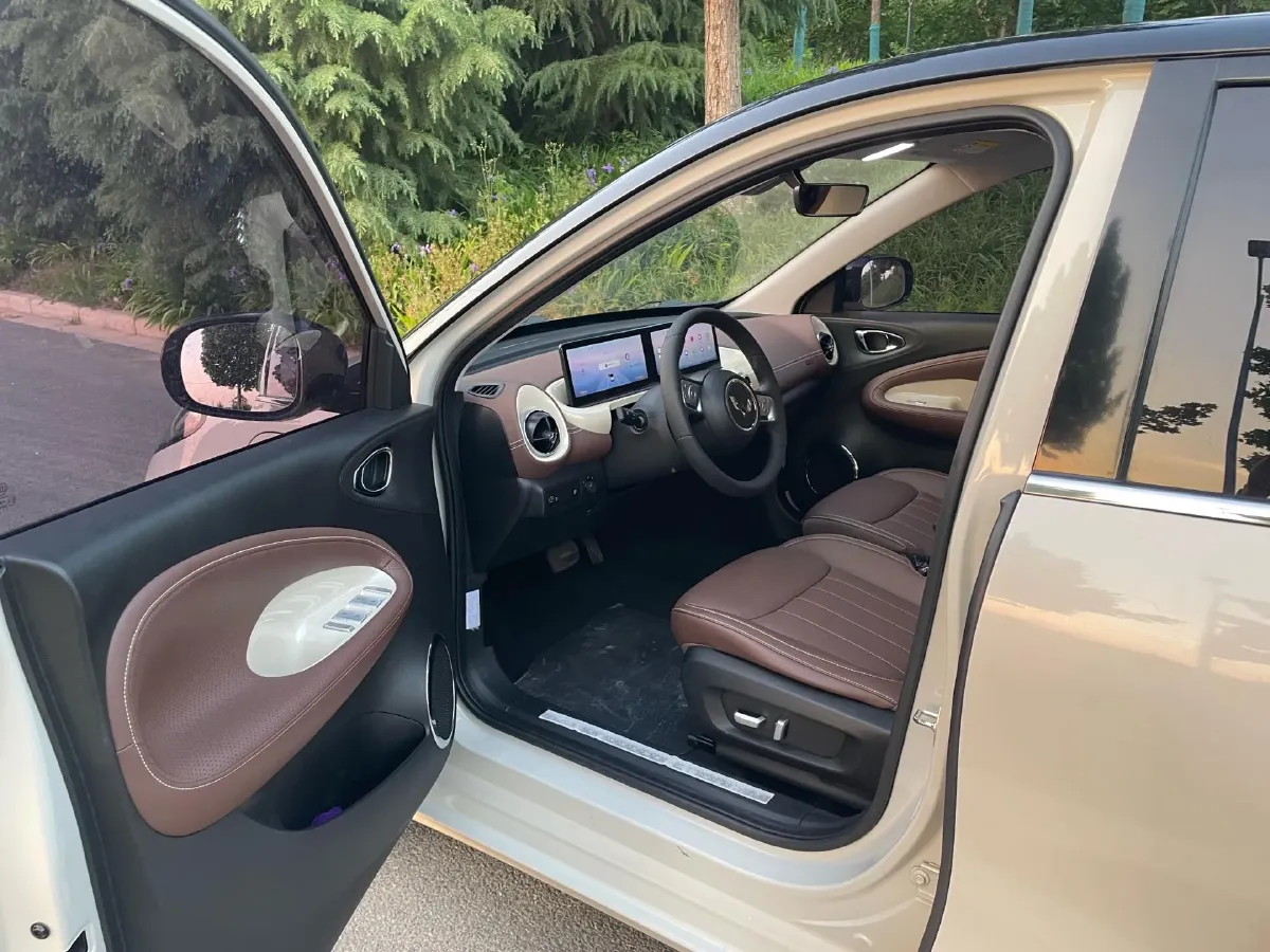 2023 WuLing BinGuo BEV 31.9KWH,autocango,china used car exporter,china ev exporter,chinese used car exporter,chinese used ev exporter