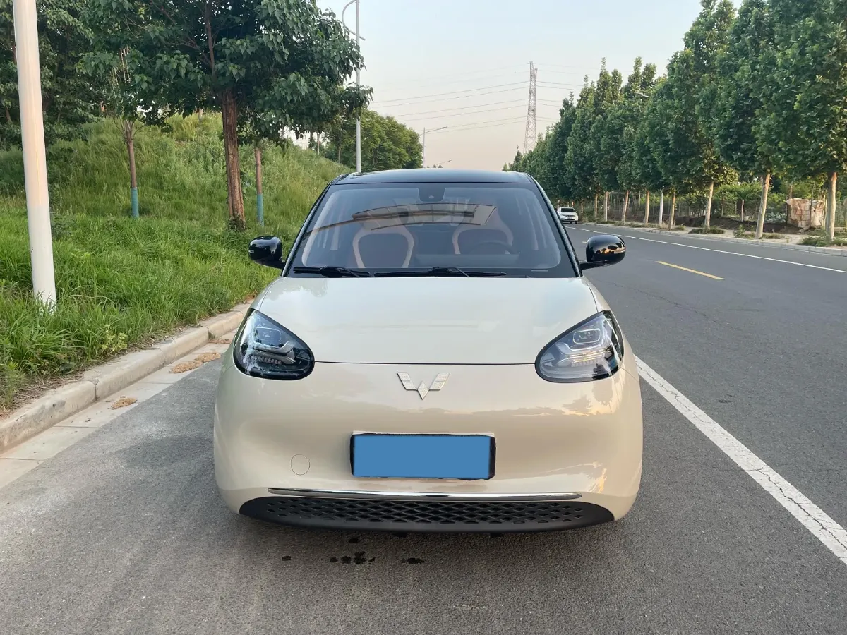 2023 WuLing BinGuo BEV 31.9KWH,autocango,china used car exporter,china ev exporter,chinese used car exporter,chinese used ev exporter