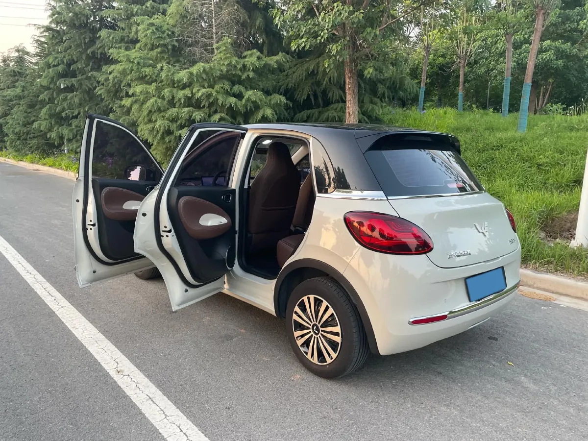 2023 WuLing BinGuo BEV 31.9KWH,autocango,china used car exporter,china ev exporter,chinese used car exporter,chinese used ev exporter
