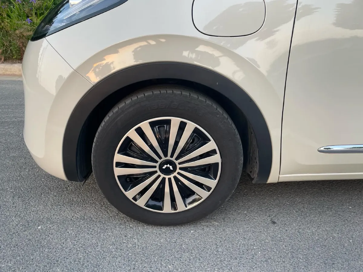 2023 WuLing BinGuo BEV 31.9KWH,autocango,china used car exporter,china ev exporter,chinese used car exporter,chinese used ev exporter