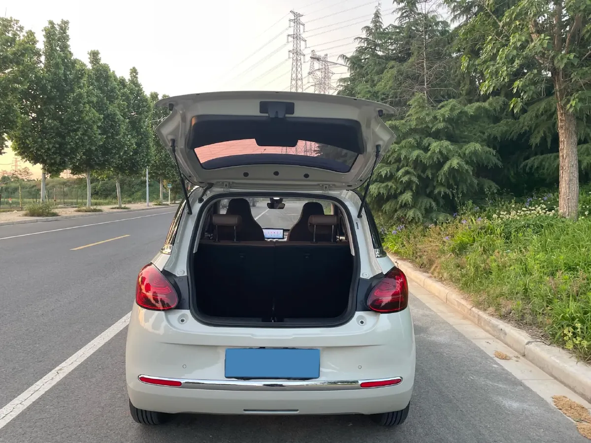 2023 WuLing BinGuo BEV 31.9KWH,autocango,china used car exporter,china ev exporter,chinese used car exporter,chinese used ev exporter