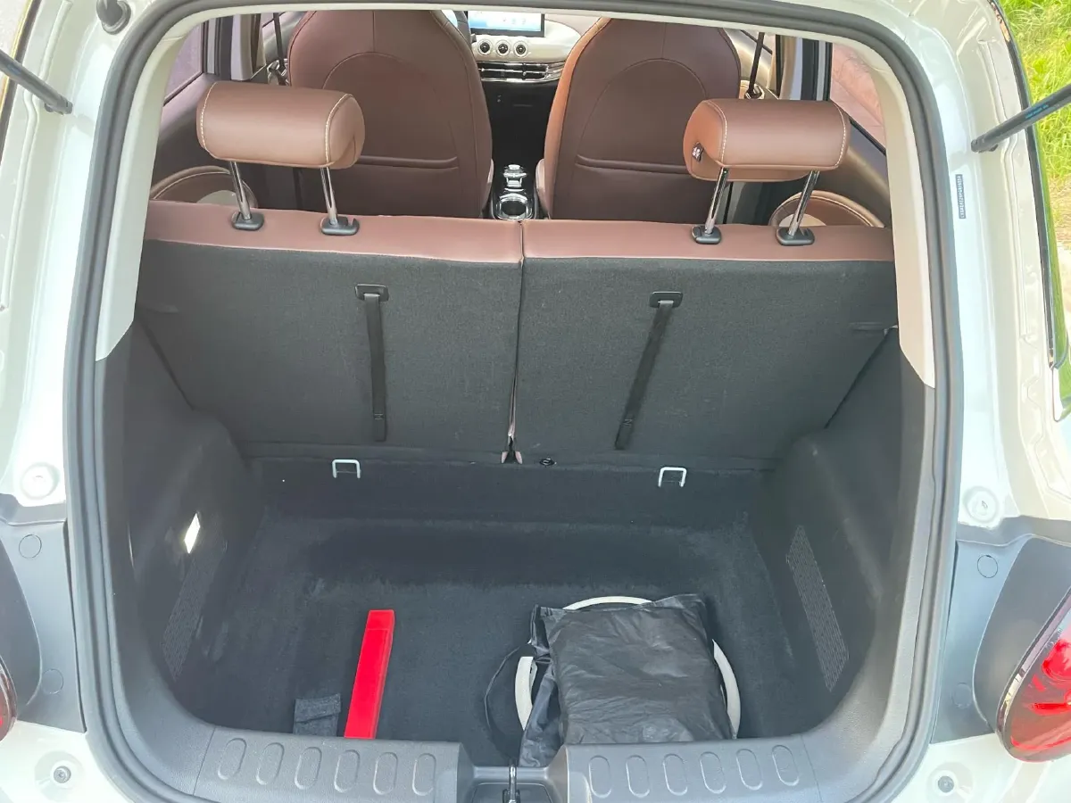 2023 WuLing BinGuo BEV 31.9KWH,autocango,china used car exporter,china ev exporter,chinese used car exporter,chinese used ev exporter