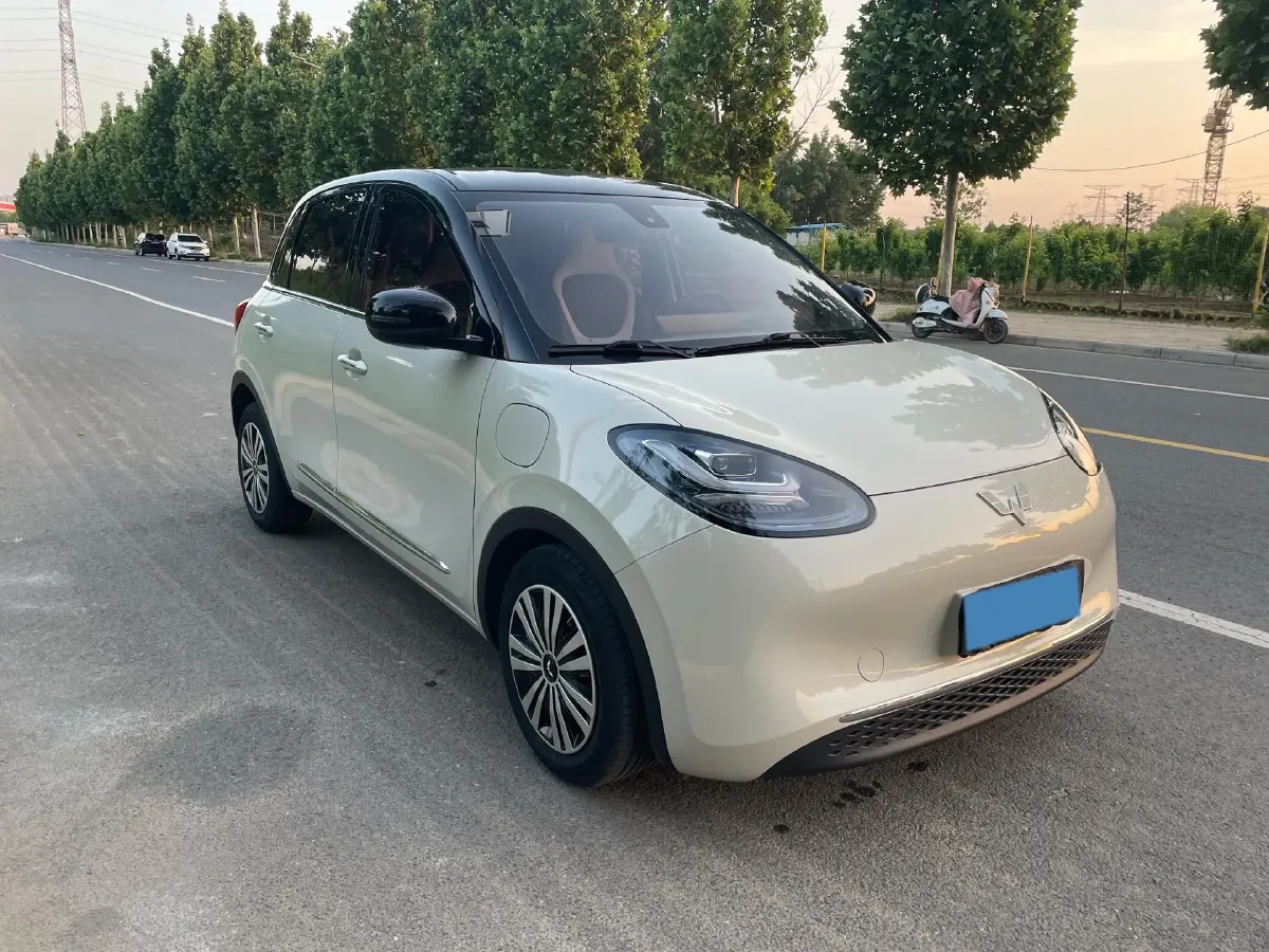 2023 WuLing BinGuo BEV 31.9KWH,autocango,china used car exporter,china ev exporter,chinese used car exporter,chinese used ev exporter