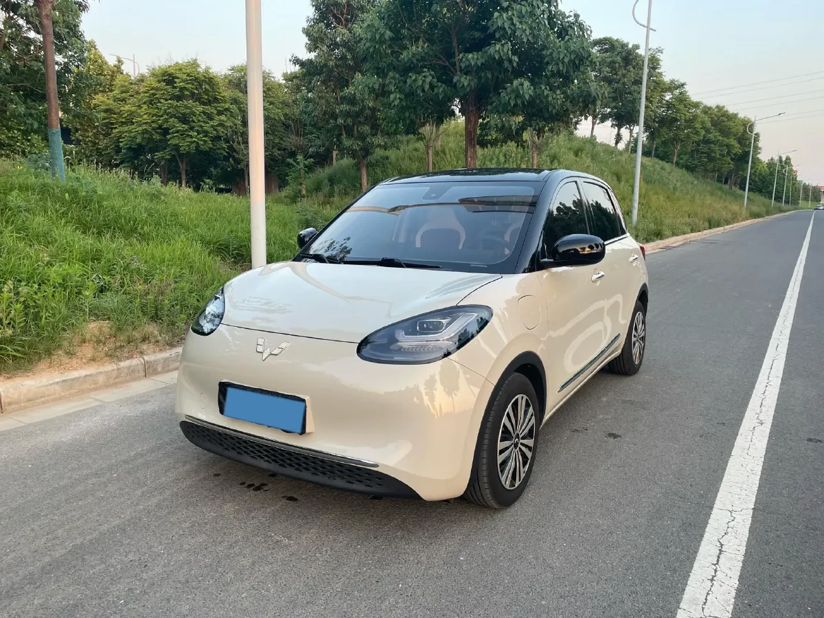 2023 WuLing BinGuo BEV 31.9KWH,autocango,china used car exporter,china ev exporter,chinese used car exporter,chinese used ev exporter